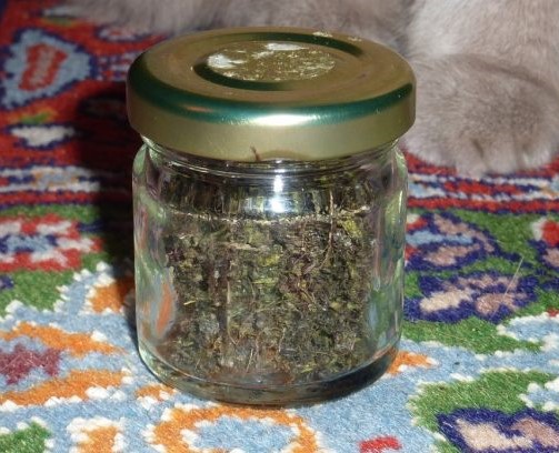 Acheter DMT ne ligne